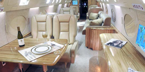 Gulfstream 2 / IIB view for Chicago charter
